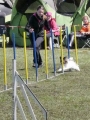 Agi_haag_30-04-2017301 Agi_haag_30-04-2017301