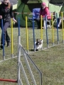 Agi_haag_30-04-2017302 Agi_haag_30-04-2017302