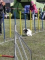 Agi_haag_30-04-2017303 Agi_haag_30-04-2017303