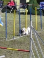 Agi_haag_30-04-2017304 Agi_haag_30-04-2017304