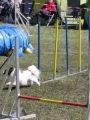 Agi_haag_30-04-2017305 Agi_haag_30-04-2017305
