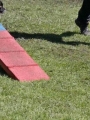 Agi_haag_30-04-2017308 Agi_haag_30-04-2017308