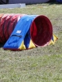 Agi_haag_30-04-2017310 Agi_haag_30-04-2017310