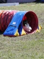 Agi_haag_30-04-2017311 Agi_haag_30-04-2017311