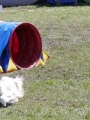 Agi_haag_30-04-2017315 Agi_haag_30-04-2017315