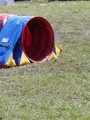 Agi_haag_30-04-2017316 Agi_haag_30-04-2017316