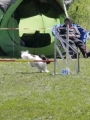 Agi_haag_30-04-2017321