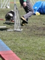 Agi_haag_30-04-2017334
