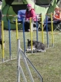 Agi_haag_30-04-2017351