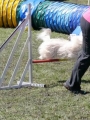 Agi_haag_30-04-2017400
