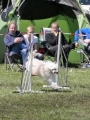 Agi_haag_30-04-2017410