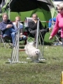 Agi_haag_30-04-2017411