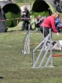 Agi_haag_30-04-2017440 Agi_haag_30-04-2017440