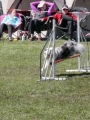 Agi_haag_30-04-2017446 Agi_haag_30-04-2017446