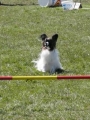 Agi_haag_30-04-2017457 Agi_haag_30-04-2017457