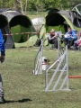 Agi_haag_30-04-2017469