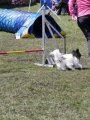 Agi_haag_30-04-2017477