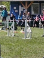 Agi_haag_30-04-2017481