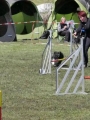 Agi_haag_30-04-2017510