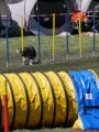 Agi_haag_30-04-2017516