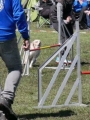 Agi_haag_30-04-2017545