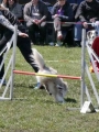 Agi_haag_30-04-2017560