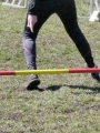 Agi_haag_30-04-2017604