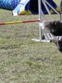 Agi_haag_30-04-2017605