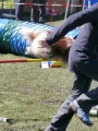 Agi_haag_30-04-2017619