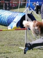 Agi_haag_30-04-2017620
