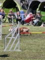 Agi_haag_30-04-2017628