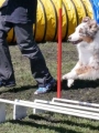 Agi_haag_30-04-2017637