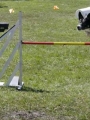 Agi_haag_30-04-2017638 Agi_haag_30-04-2017638