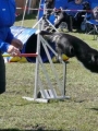 Agi_haag_30-04-2017640 Agi_haag_30-04-2017640