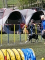 Agi_haag_30-04-2017650 Agi_haag_30-04-2017650