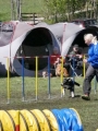 Agi_haag_30-04-2017651 Agi_haag_30-04-2017651