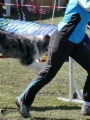 Agi_haag_30-04-2017666 Agi_haag_30-04-2017666