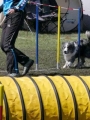 Agi_haag_30-04-2017671 Agi_haag_30-04-2017671