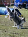 Agi_haag_30-04-2017672 Agi_haag_30-04-2017672