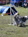 Agi_haag_30-04-2017673 Agi_haag_30-04-2017673