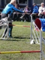 Agi_haag_30-04-2017674 Agi_haag_30-04-2017674