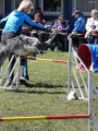 Agi_haag_30-04-2017675 Agi_haag_30-04-2017675