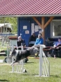 Agi_haag_30-04-2017676 Agi_haag_30-04-2017676