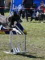 Agi_haag_30-04-2017682 Agi_haag_30-04-2017682