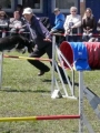 Agi_haag_30-04-2017688 Agi_haag_30-04-2017688