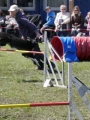 Agi_haag_30-04-2017689 Agi_haag_30-04-2017689
