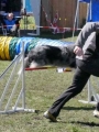 Agi_haag_30-04-2017690 Agi_haag_30-04-2017690