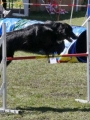 Agi_haag_30-04-2017706