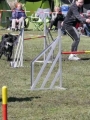 Agi_haag_30-04-2017720 Agi_haag_30-04-2017720
