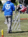 Agi_haag_30-04-2017723 Agi_haag_30-04-2017723